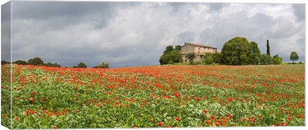 Poppies field around a rural country house in Cata Canvas Print by Pere Sanz