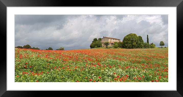 Poppies field around a rural country house in Cata Framed Mounted Print by Pere Sanz
