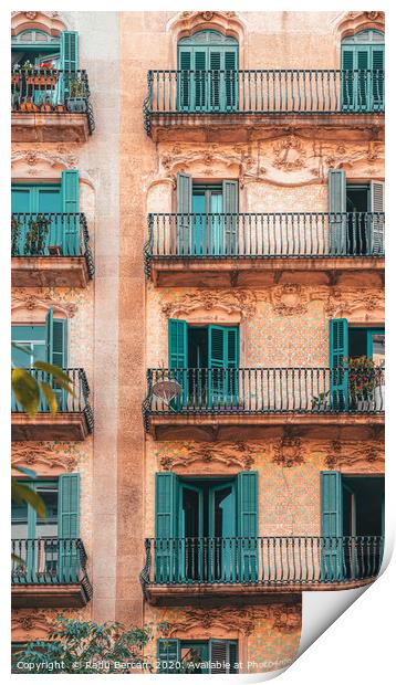 Barcelona Facade Building, Urban Architecture Print by Radu Bercan