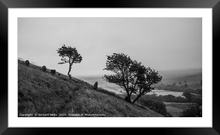 Trees on the Hill Framed Mounted Print by Richard Perks