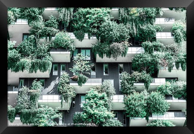 Bosco Verticale, Building Facade, Vertical Forest Framed Print by Radu Bercan
