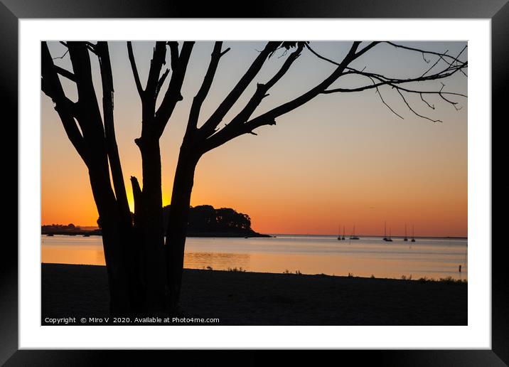 Morning sunrise on the beach with tree Framed Mounted Print by Miro V