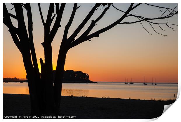Morning sunrise on the beach with tree Print by Miro V