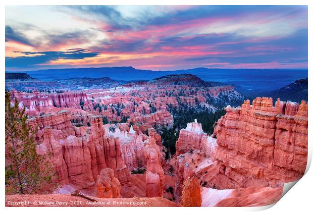 Thor's Hammer Sunset Point Bryce Canyon National P Print by William Perry