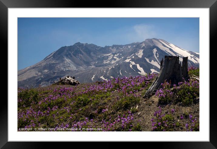 Snowy Mount Saint Helens Washington State Framed Mounted Print by William Perry