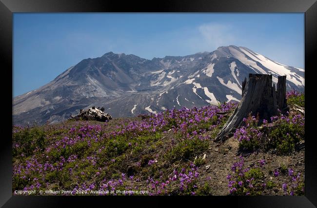 Snowy Mount Saint Helens Washington State Framed Print by William Perry