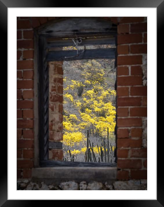 window to yellow trees Framed Mounted Print by Gail Johnson