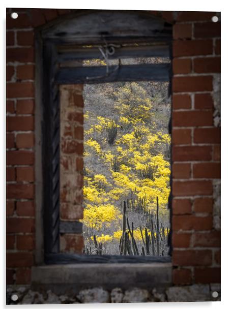 window to yellow trees Acrylic by Gail Johnson