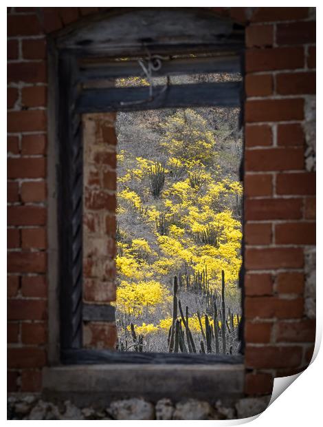window to yellow trees Print by Gail Johnson