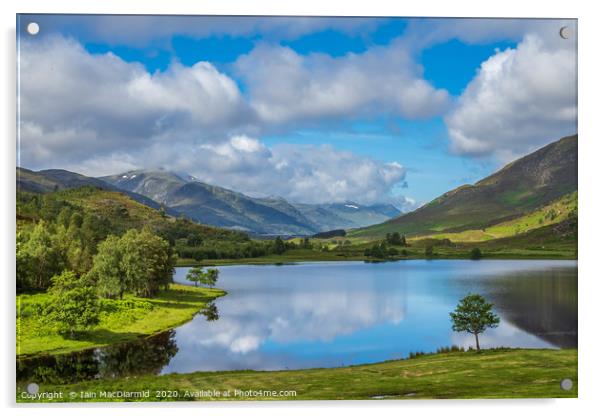 Loch Carrie and Glen Cannich Acrylic by Iain MacDiarmid