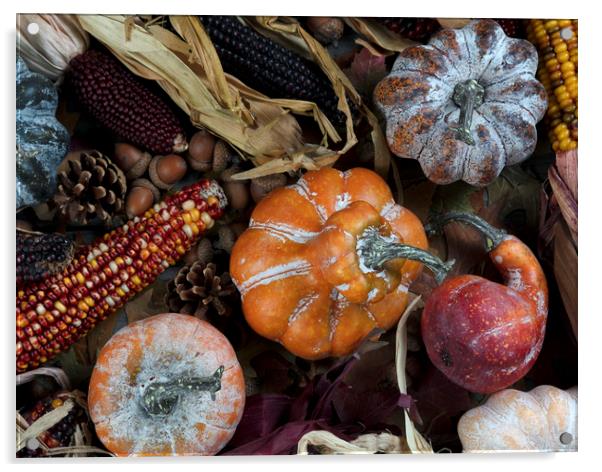 Seasonal fall decorations consisting of pumpkins,  Acrylic by Thomas Baker