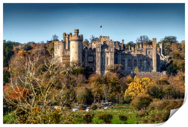 Arundel Castle, West Sussex Print by Dave Williams