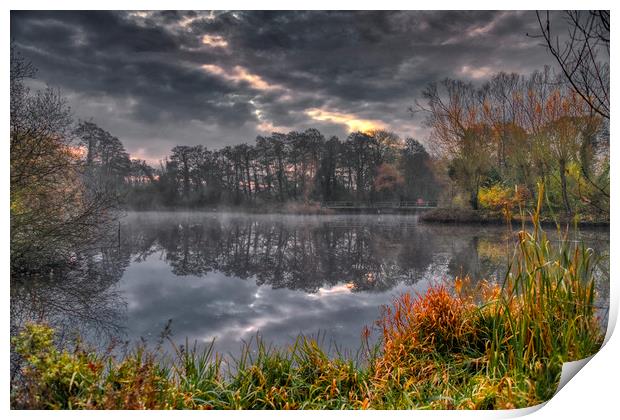 Grey and Misty Morning Print by Dave Williams