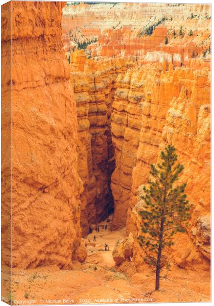 Bryce Canyon National Park Canvas Print by Nicolas Boivin