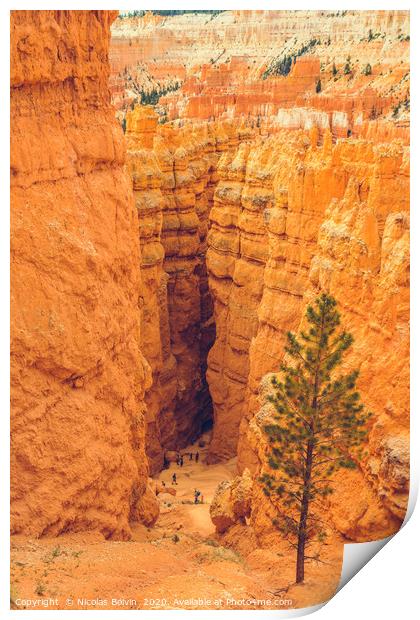 Bryce Canyon National Park Print by Nicolas Boivin