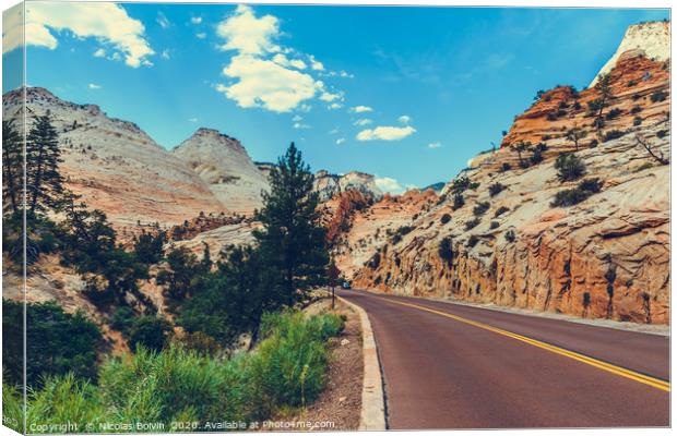 Zion National Park Canvas Print by Nicolas Boivin