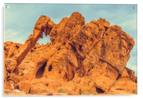 Valley of Fire State Park Acrylic by Nicolas Boivin