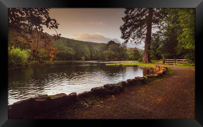 Craig y Nos Country park Framed Print by Leighton Collins