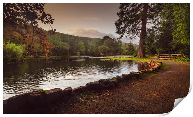 Craig y Nos Country park Print by Leighton Collins