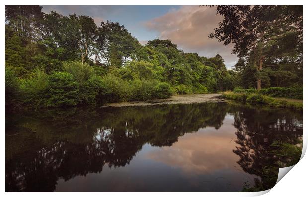 Craig y Nos Country park lake Print by Leighton Collins