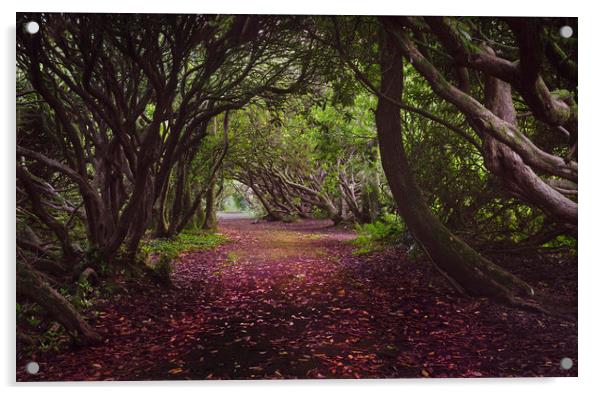 Rhododendron arched walkway Acrylic by Leighton Collins