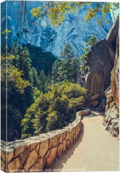 Yosemite National Park Canvas Print by Nicolas Boivin