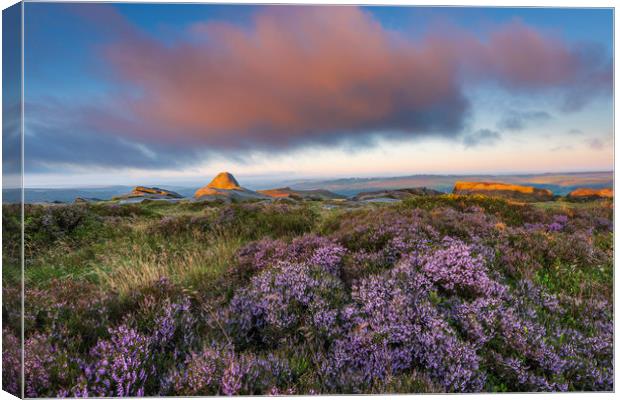 Purple Heather Sunrise, Derbyshire  Canvas Print by John Finney