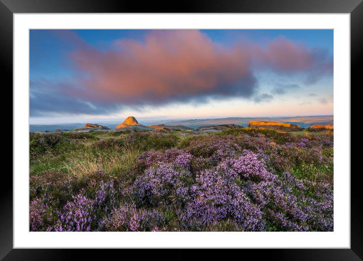 Purple Heather Sunrise, Derbyshire  Framed Mounted Print by John Finney