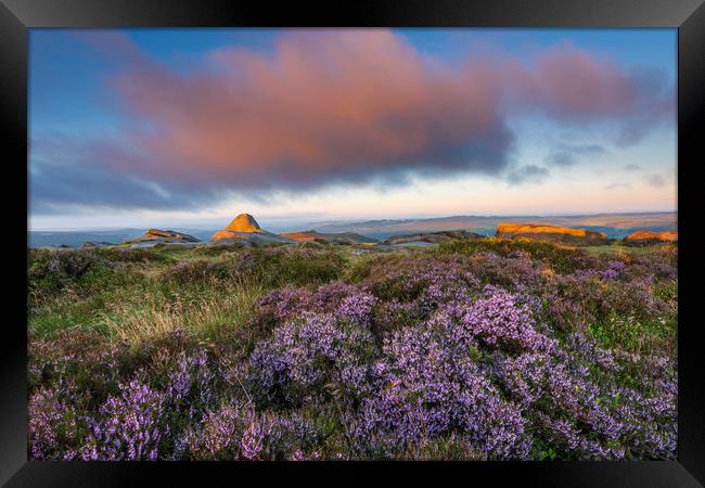 Purple Heather Sunrise, Derbyshire  Framed Print by John Finney