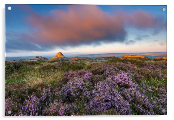 Purple Heather Sunrise, Derbyshire  Acrylic by John Finney