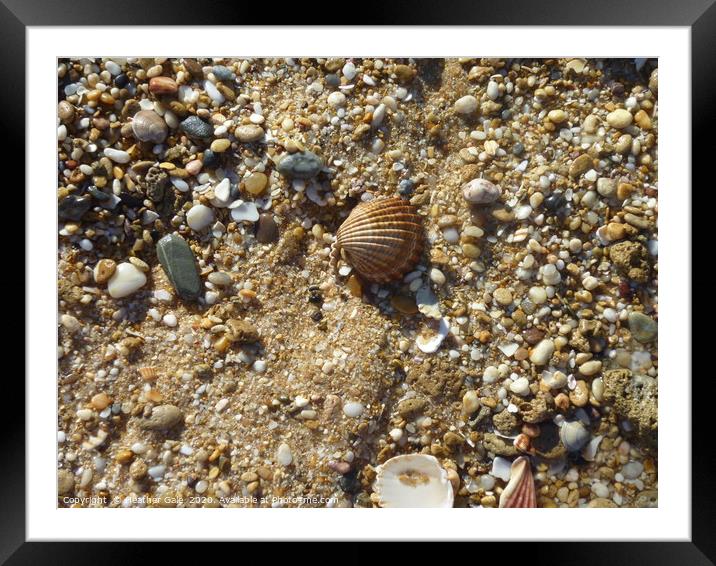 Searching for that pearl Framed Mounted Print by Heather Gale