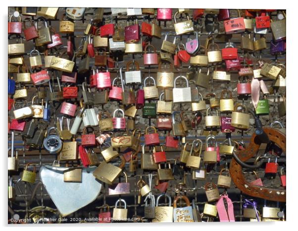 Love locks Acrylic by Heather Gale