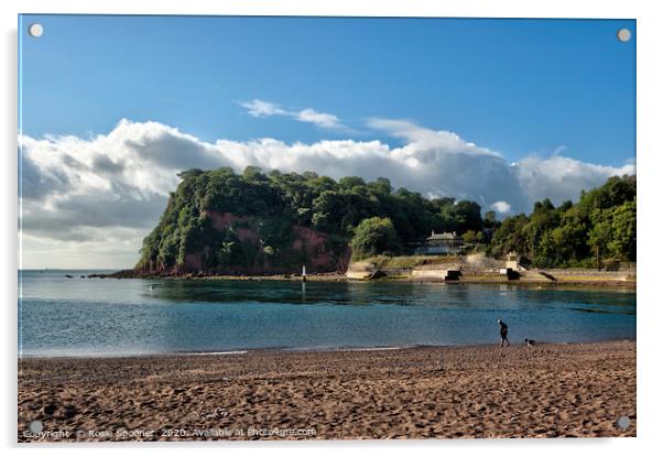 The Ness Headland at Shaldon from Teignmouth Acrylic by Rosie Spooner