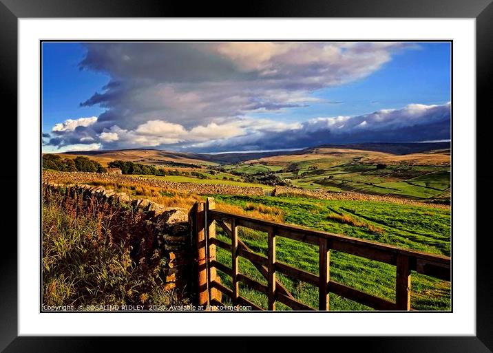 "Over the gate" Framed Mounted Print by ROS RIDLEY