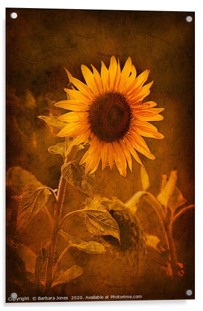 Sunflower, Golden Beauty Acrylic by Barbara Jones