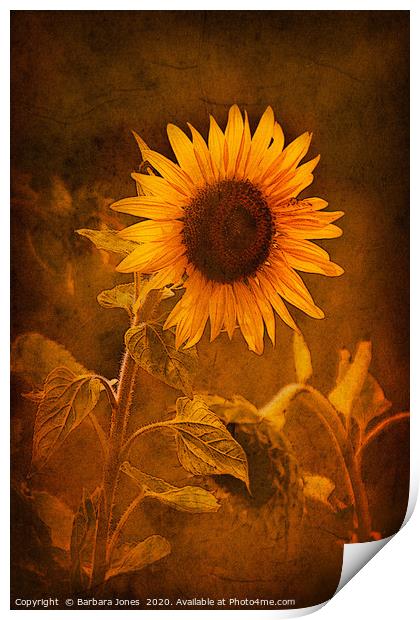 Sunflower, Golden Beauty Print by Barbara Jones