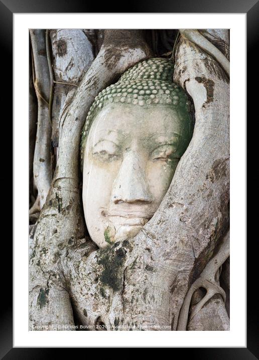 Head of sandstone Buddha in the tree roots Framed Mounted Print by Nicolas Boivin