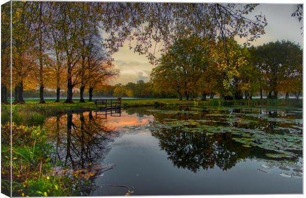 The Dawn of a New Day at Yateley Green Pond Canvas Print by Dave Williams