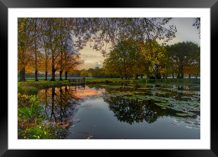 The Dawn of a New Day at Yateley Green Pond Framed Mounted Print by Dave Williams