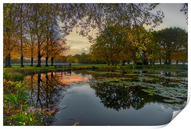 The Dawn of a New Day at Yateley Green Pond Print by Dave Williams