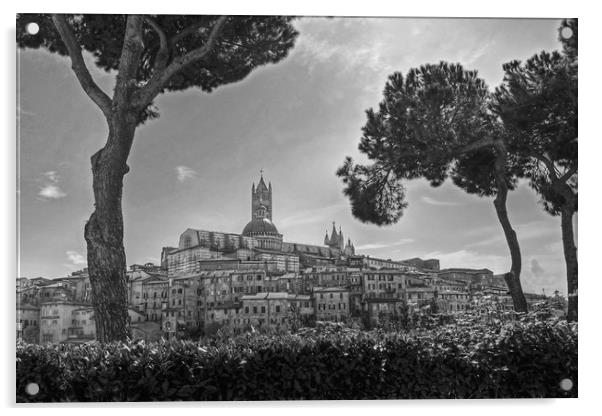 Siena in monochrome Acrylic by Diana Mower