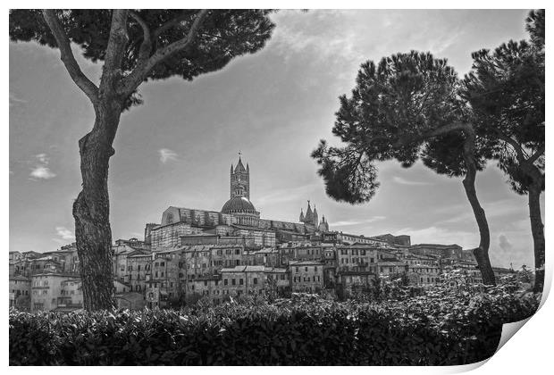 Siena in monochrome Print by Diana Mower