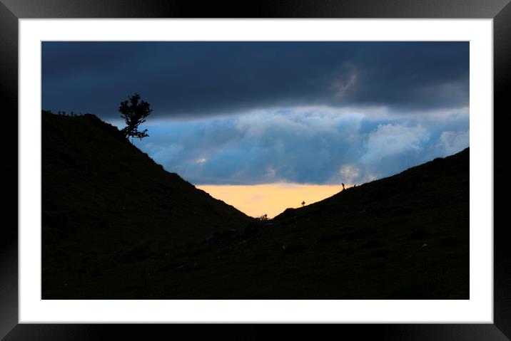 A lone tree on the Black Mountain Framed Mounted Print by Leighton Collins