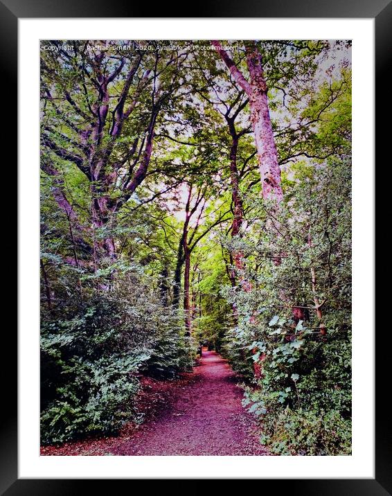 Colourful Etherow woods  Framed Mounted Print by Rachael Smith
