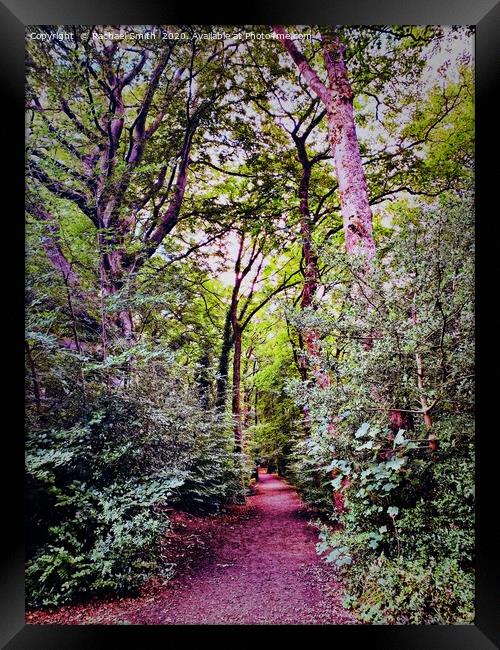 Colourful Etherow woods  Framed Print by Rachael Smith