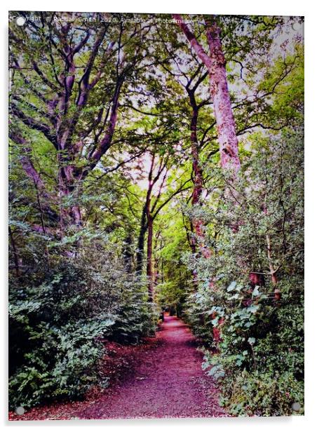 Colourful Etherow woods  Acrylic by Rachael Smith