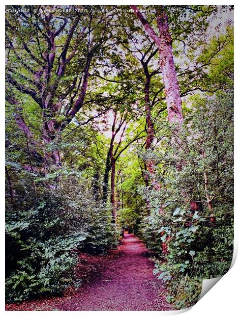 Colourful Etherow woods  Print by Rachael Smith