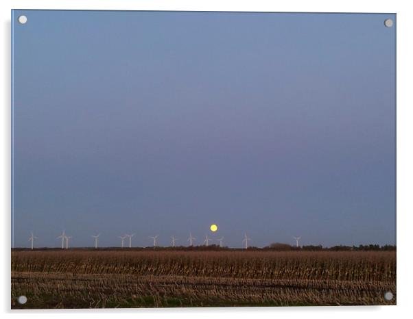 Full Moon at the Horizon Acrylic by Torsten Radtke