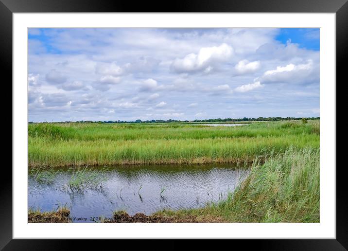 A view across Hickling Nature Reserve Framed Mounted Print by Chris Yaxley