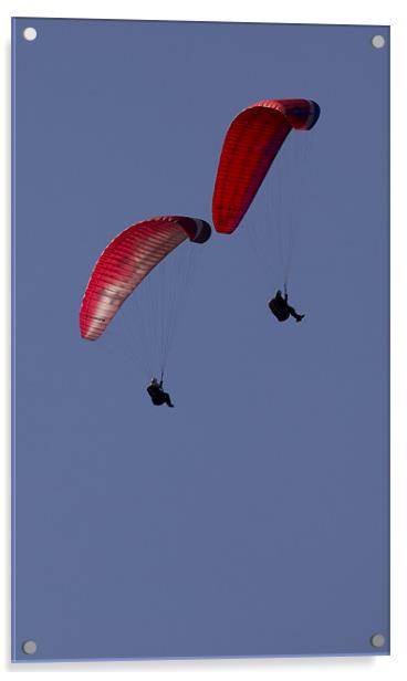 Paragliding at Mam Tor Castleton Acrylic by Darren Burroughs